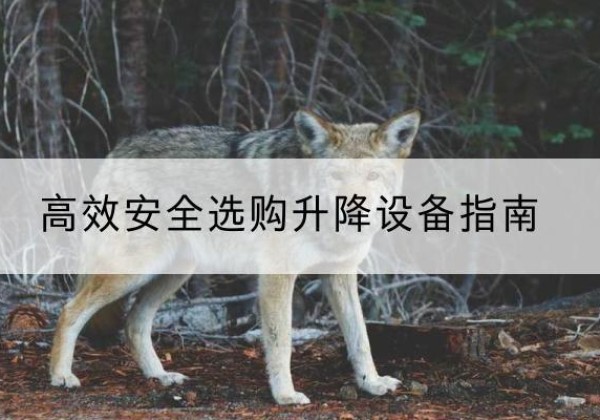 靖州升降货梯厂家推荐-*安全选购升降设备指南
