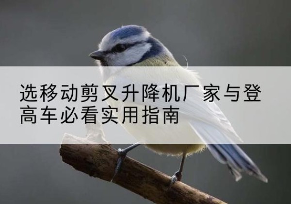 靖州电动升降机厂家-选移动剪叉升降机厂家与登高车必看实用指南