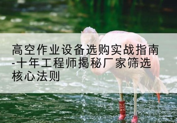 靖州剪叉式升降机厂家-高空作业设备选购实战指南-十年工程师揭秘厂家筛选核心法则